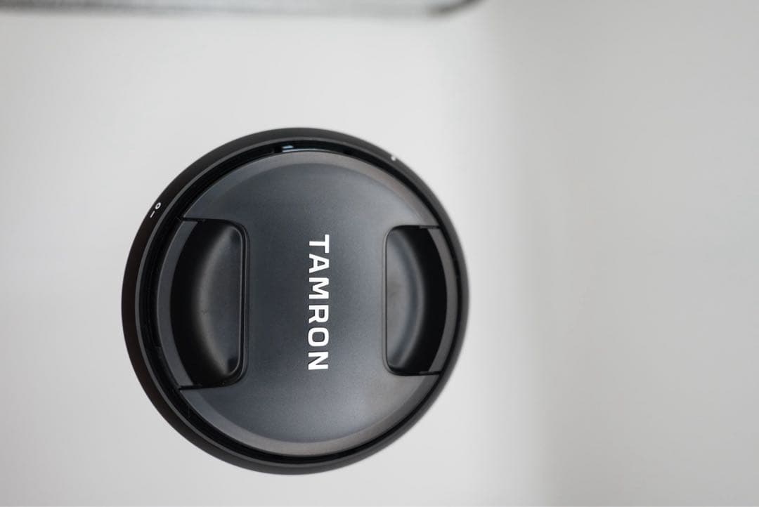 TAMRON 28-200mm 2.8-5.6 Model A071 Eマウント