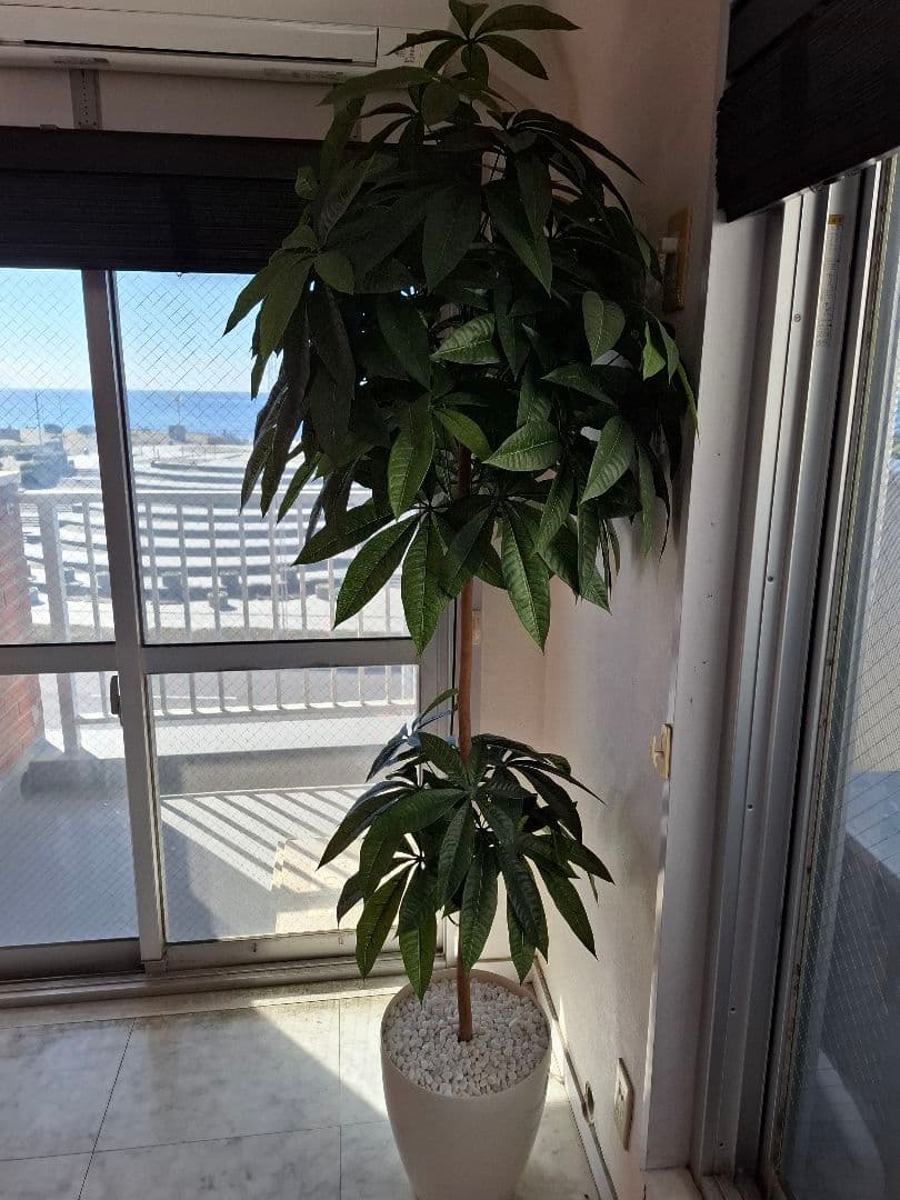 人工観葉植物 高さ150cm ホワイト鉢パキラ
