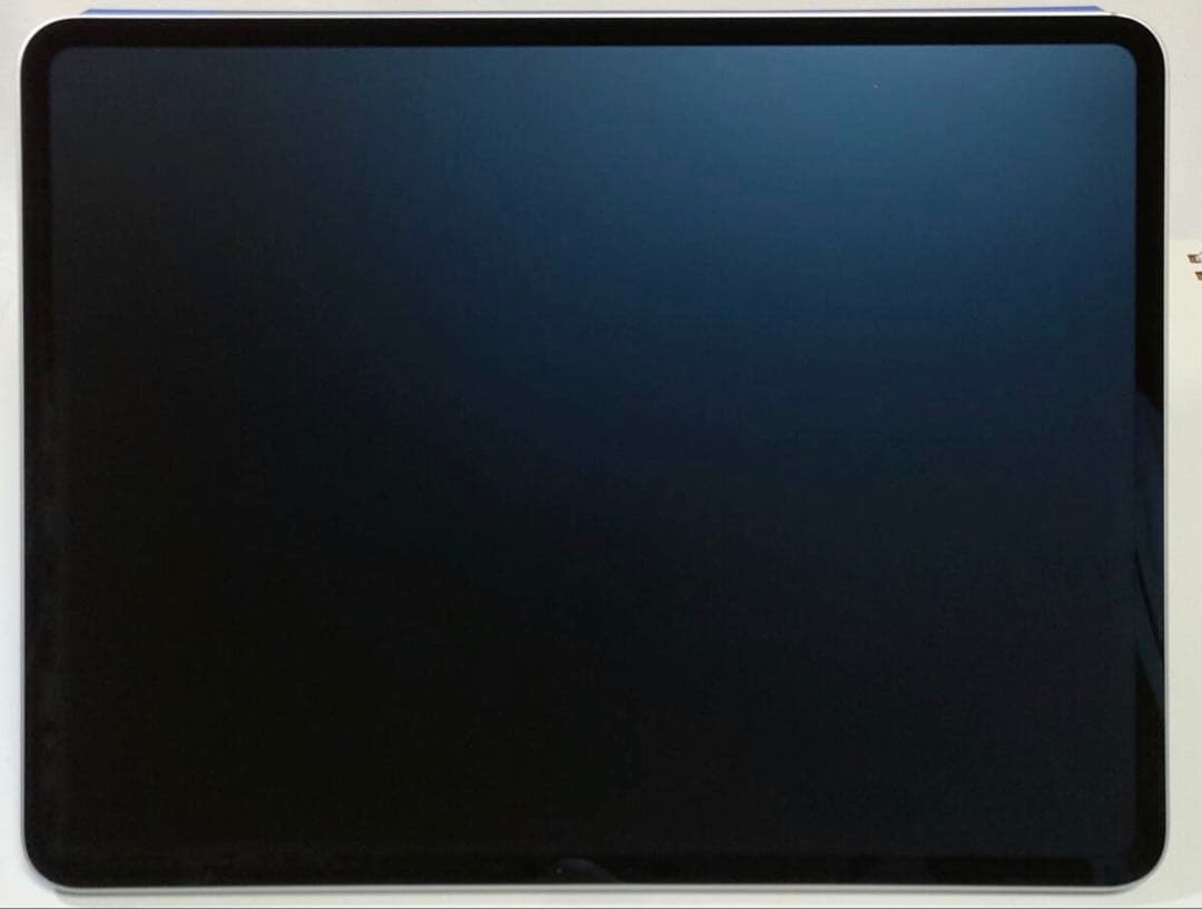 13インチ iPad Pro (M4) 2TB/Apple Pencil Pro