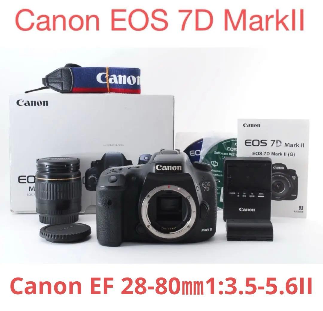Canon EOS 7D Mark II + Canon EF 28-80㎜