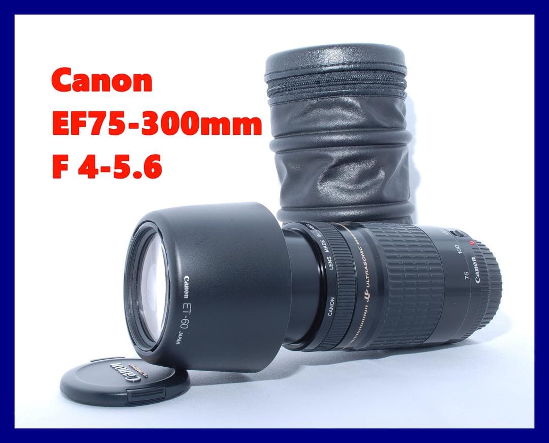 ★Canon ZOOM LENZ EF 75-300mm 4-5.6 USM ★