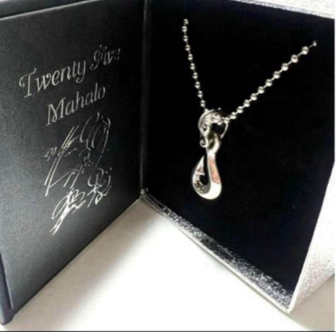 s*i様 Bill Wall Leather ネックレス　BWL TUBE25周