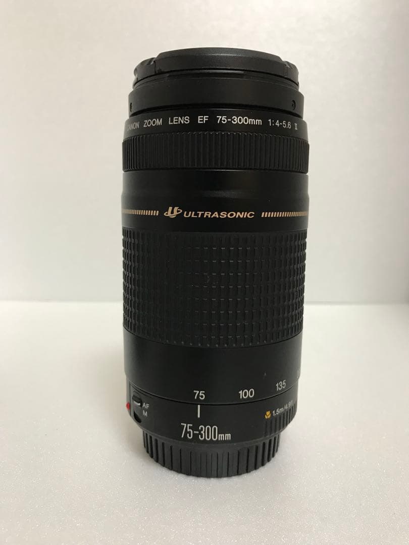 フード付き/キヤノン/人気の望遠レンズ/Canon EF75-300㎜