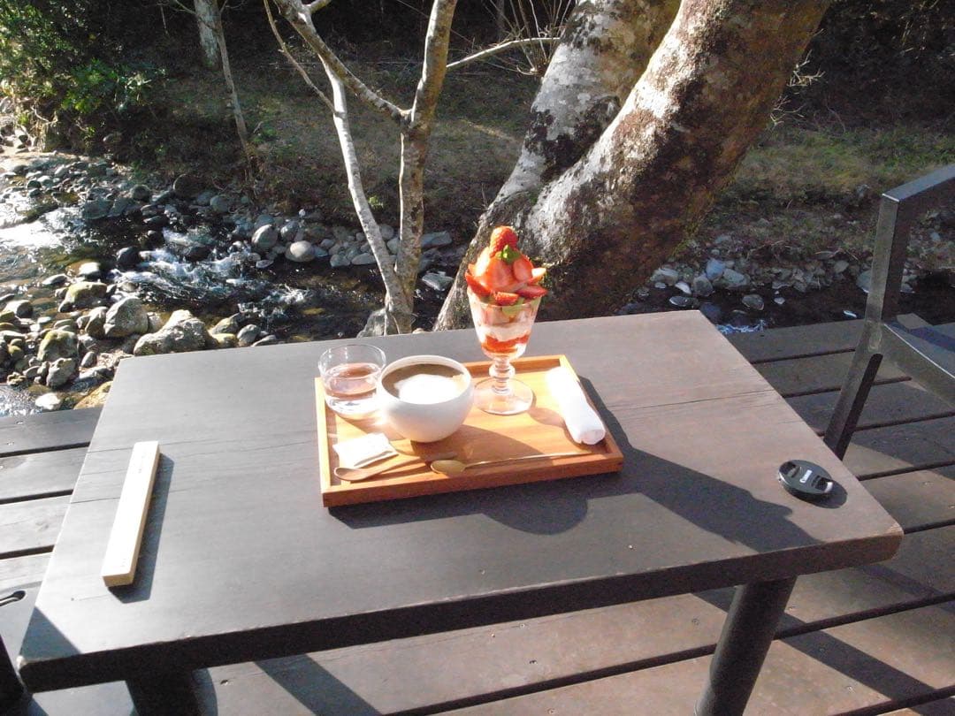 大幅値下げ！！【新品級】リコー　RICOH GR DIGITAL ll