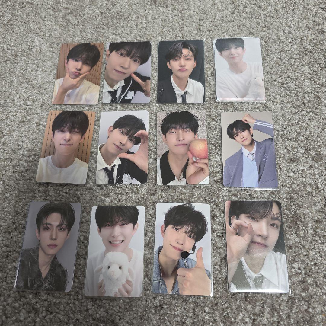 ボイプラ2 ゴヌ week1 トレカ 12枚フルセット