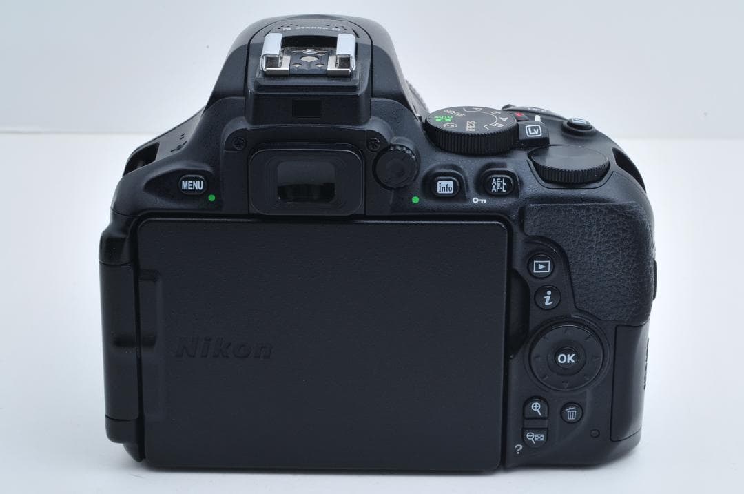 ■美品■ ニコン Nikon D5600 AF-P 18-55mmセット
