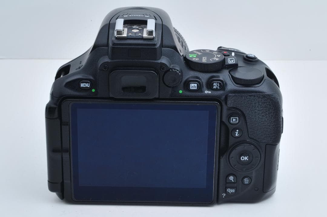 ■美品■ ニコン Nikon D5600 AF-P 18-55mmセット