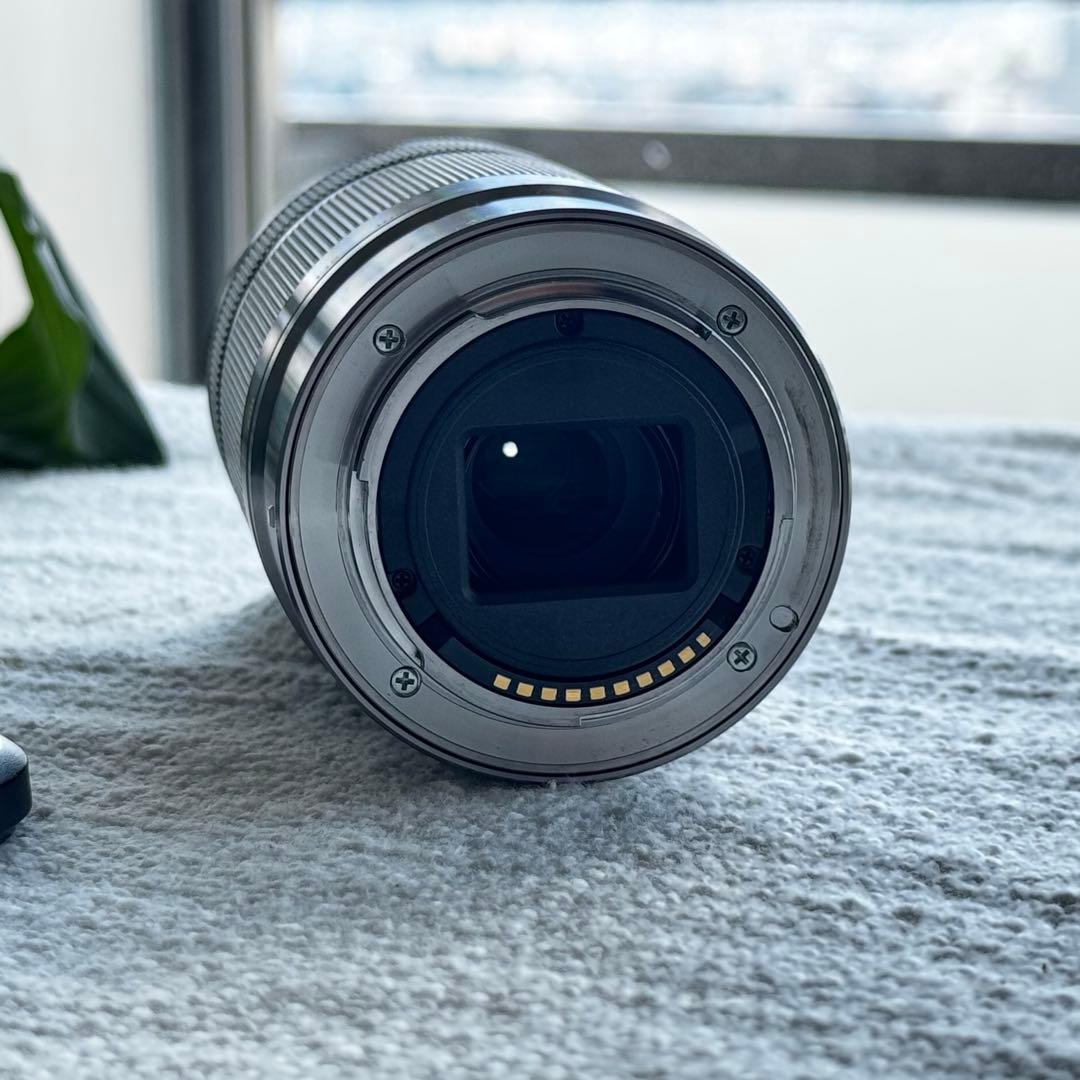 【望遠レンズ付】SONY α6000 シルバー 良品セット✨即撮影OK・安心発送