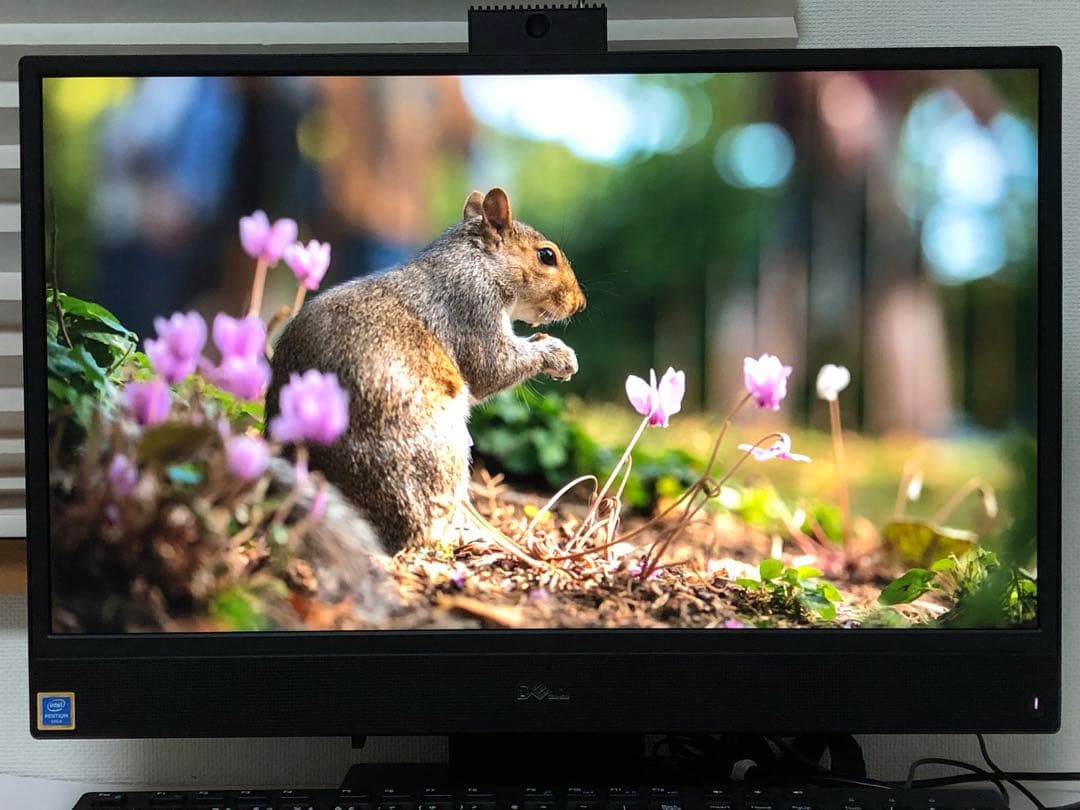 【良品】DELL AIO 22-3280 8GB SSD Office2021