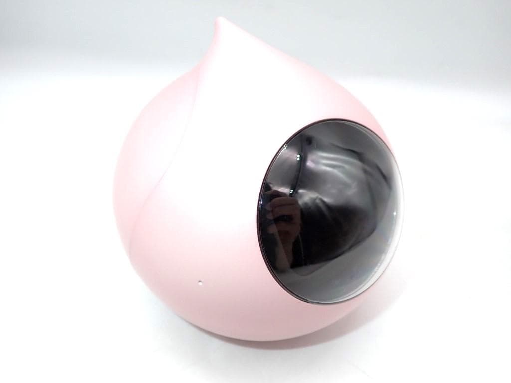 会話AIロボット ロミィ Romi （パールピンク）