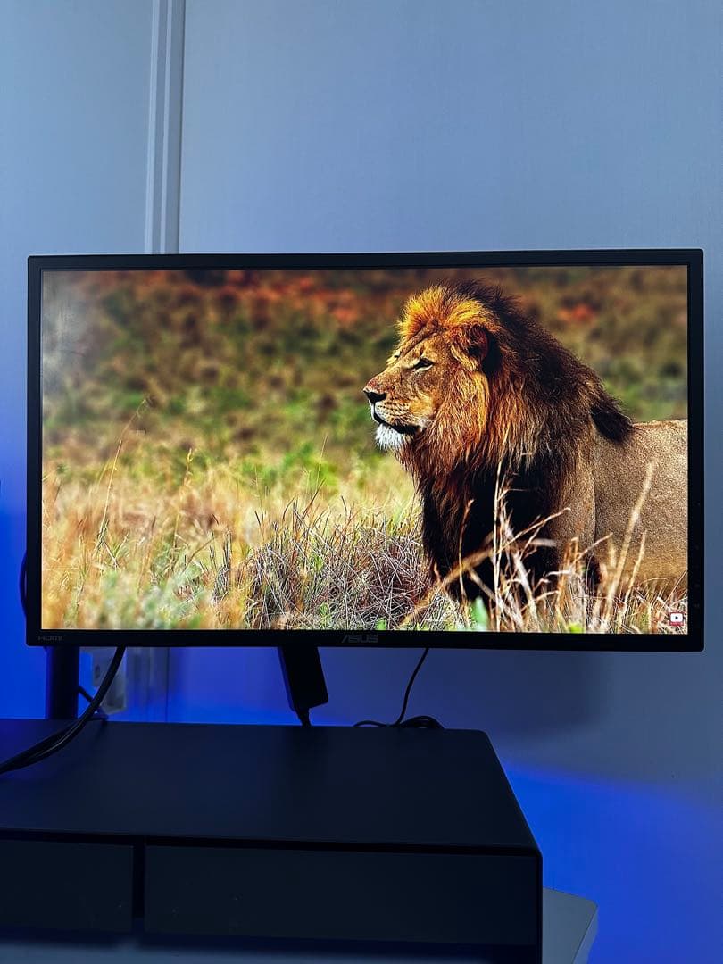 ASUS 液晶モニター 「モニター本体・モニターアーム・ケーブル・パソコン台」