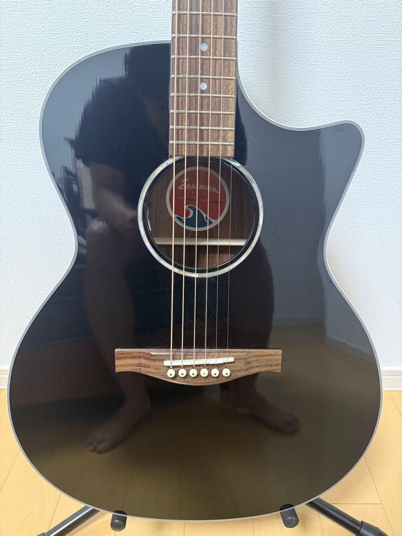 Eastman PCH2-GACE（ブラック）