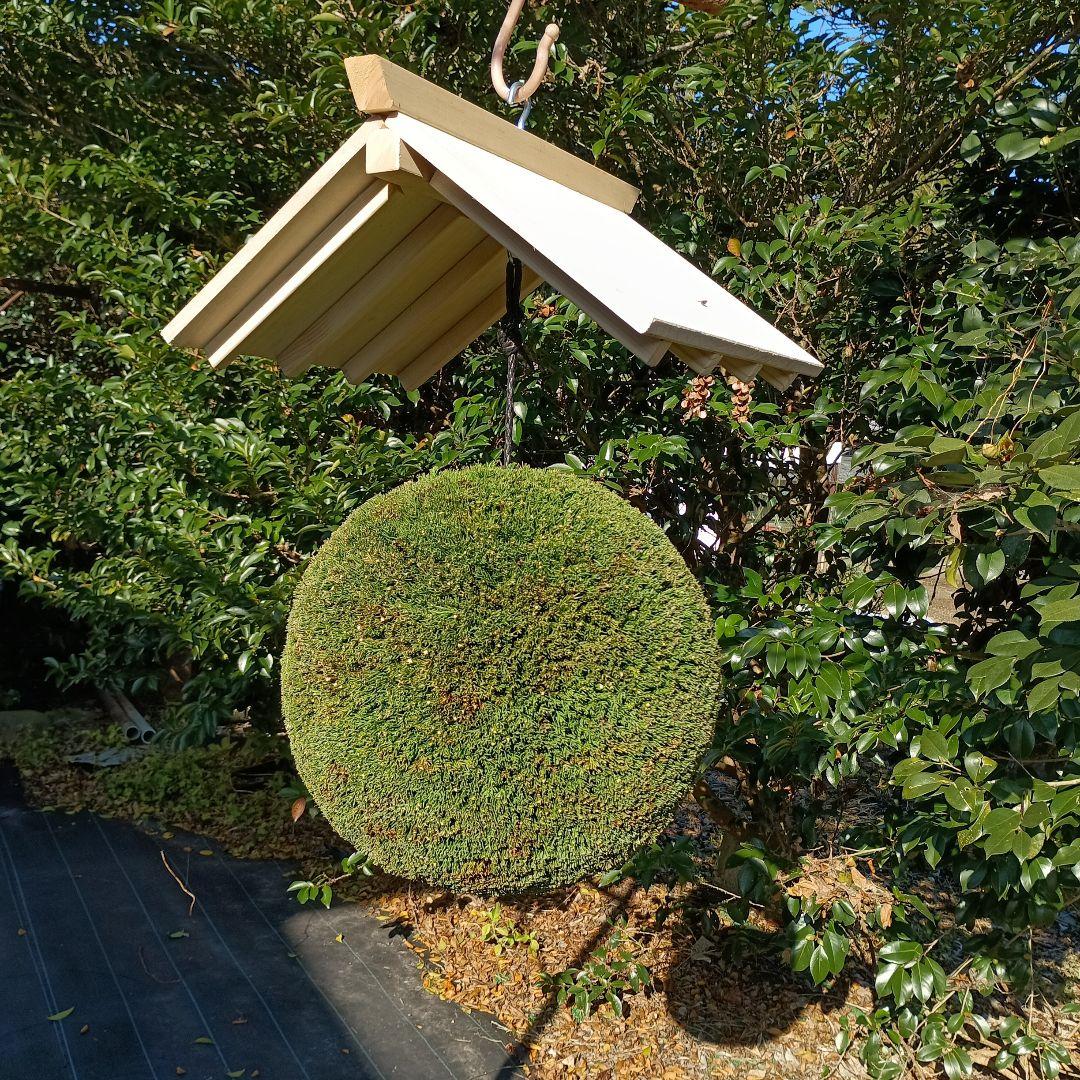 杉玉　屋根付き　直径37ｃｍ