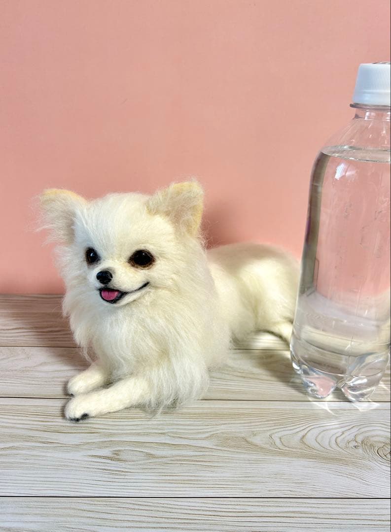 羊毛フェルト　伏せをする大きいチワワちゃん