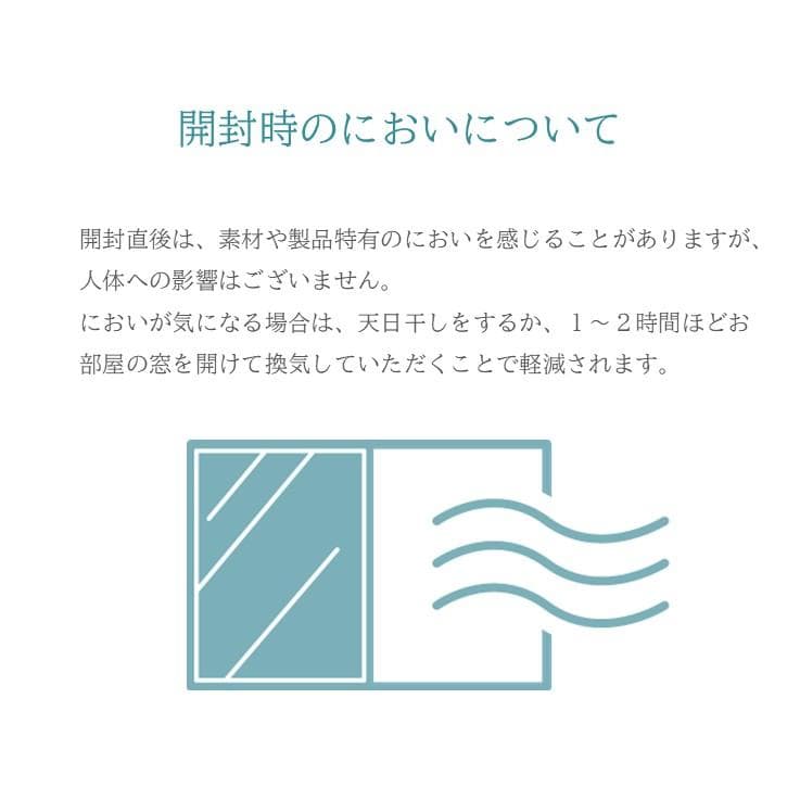 【トルコ絨毯 4.５畳 】ウィルトンカーペット ディオーネ ベージュ