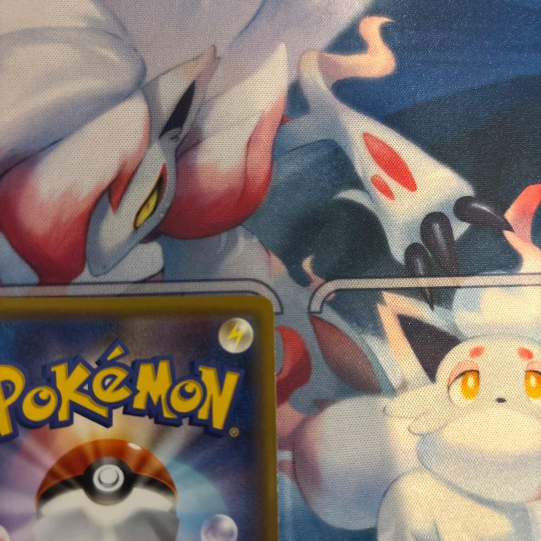 カメックス&ポッチャマGX TAG TEAMカード　SA