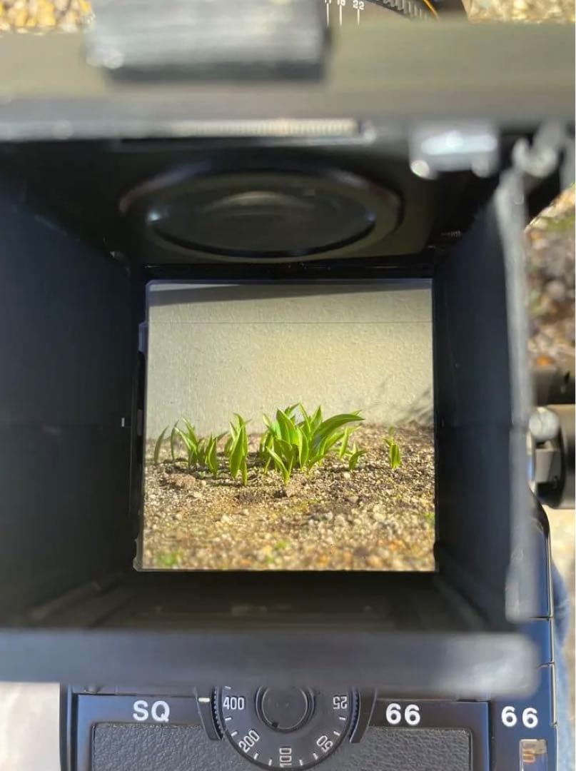 Zenza Bronica SQ-A フィルムカメラセット