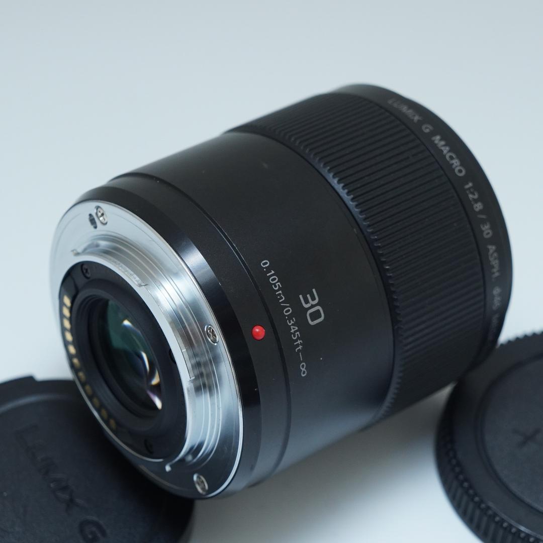 レンズ(単焦点) Panasonic LUMIX G MACRO 30mm/F2.8