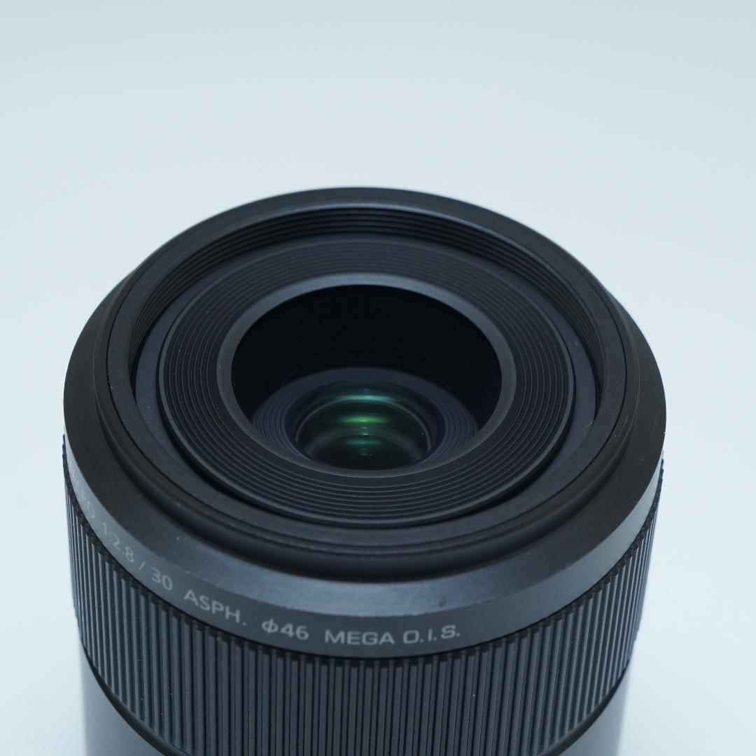 レンズ(単焦点) Panasonic LUMIX G MACRO 30mm/F2.8