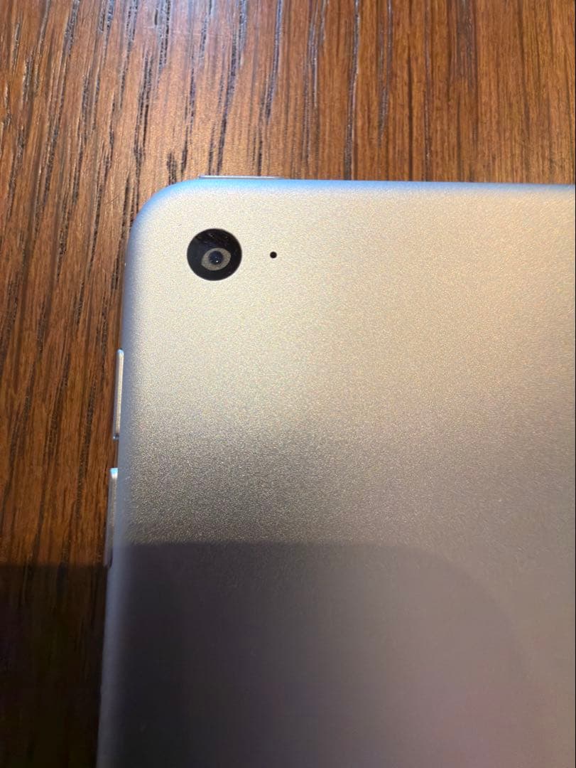 Apple iPad Air2 シルバー 本体