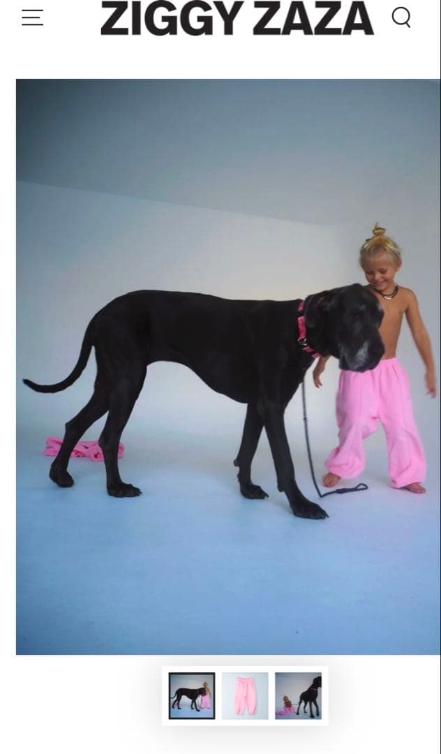 ziggyzaza ロッキー トラックパンツ