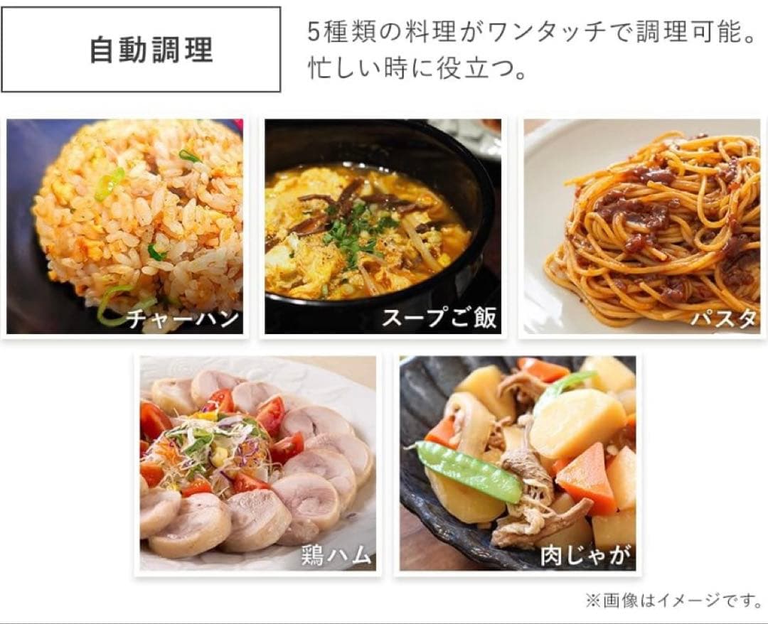 IRIS OHYAMA PMG-T179-B ブラック　新品未使用