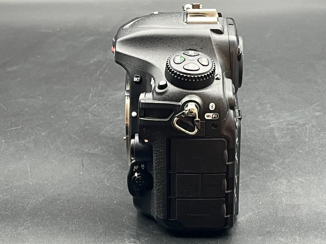 Nikon D500 ボディ ニコン デジタル一眼 #256