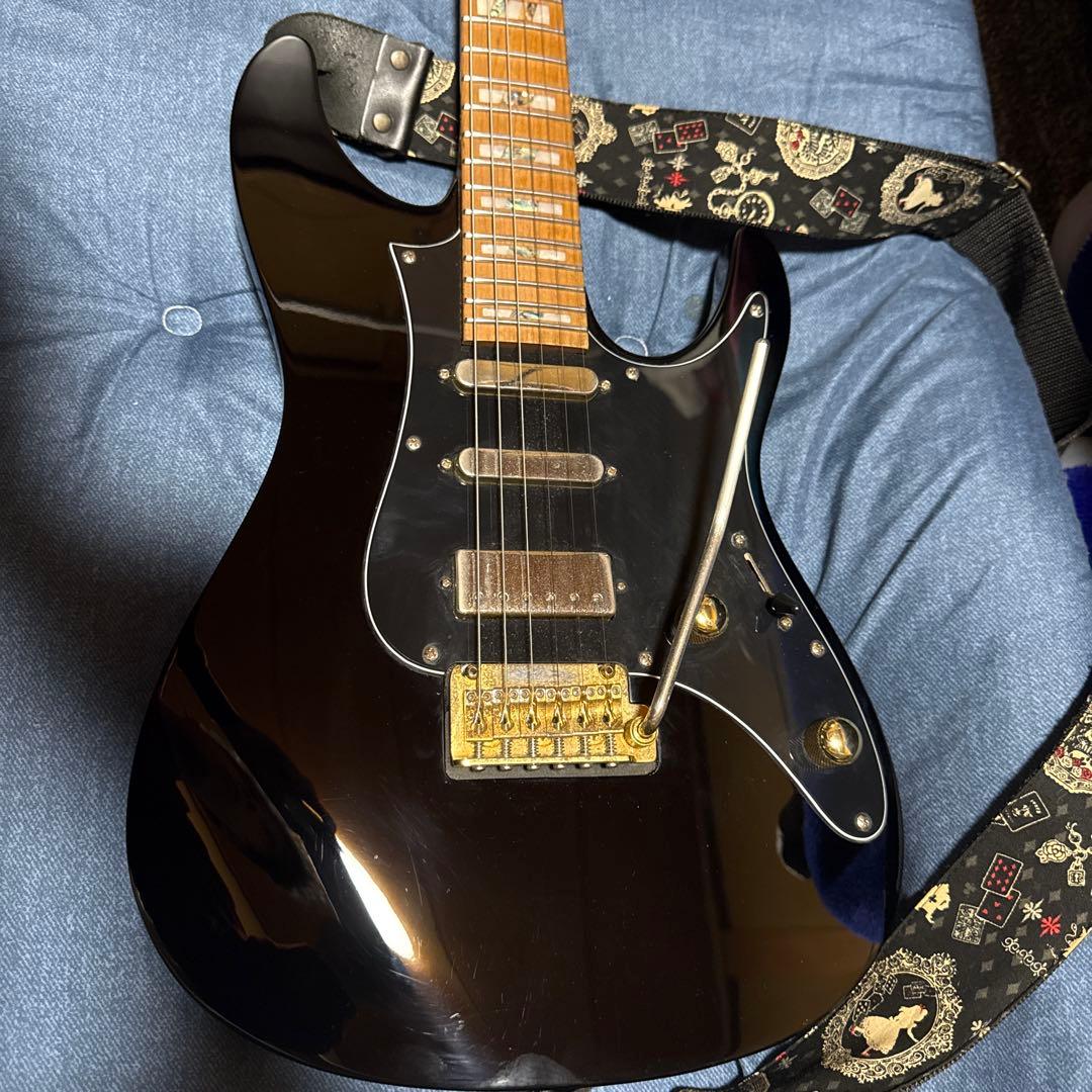 ギター Ibanez / Tim Henson Signature THBB10