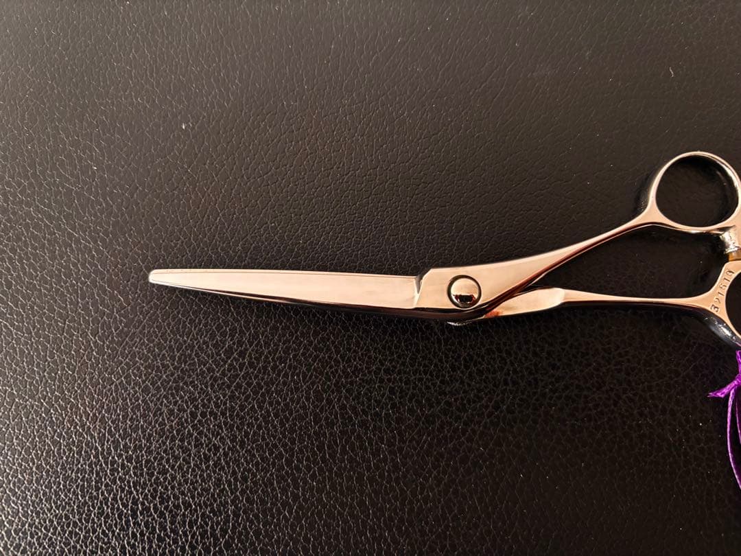 【新春セール】新品 未使用 ハイネッタ シザー レミートップ 206