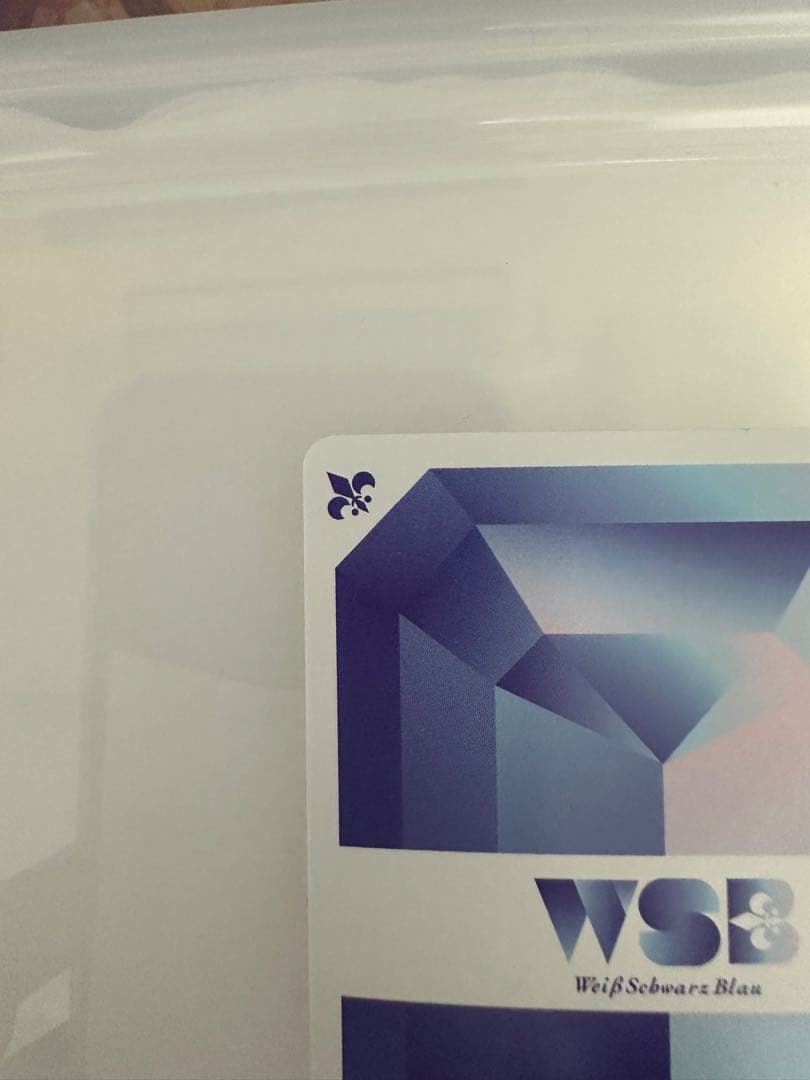 ヴァイスシュヴァルツブラウ　ブルーロック　ブラウな誘い　潔　世一　SSP