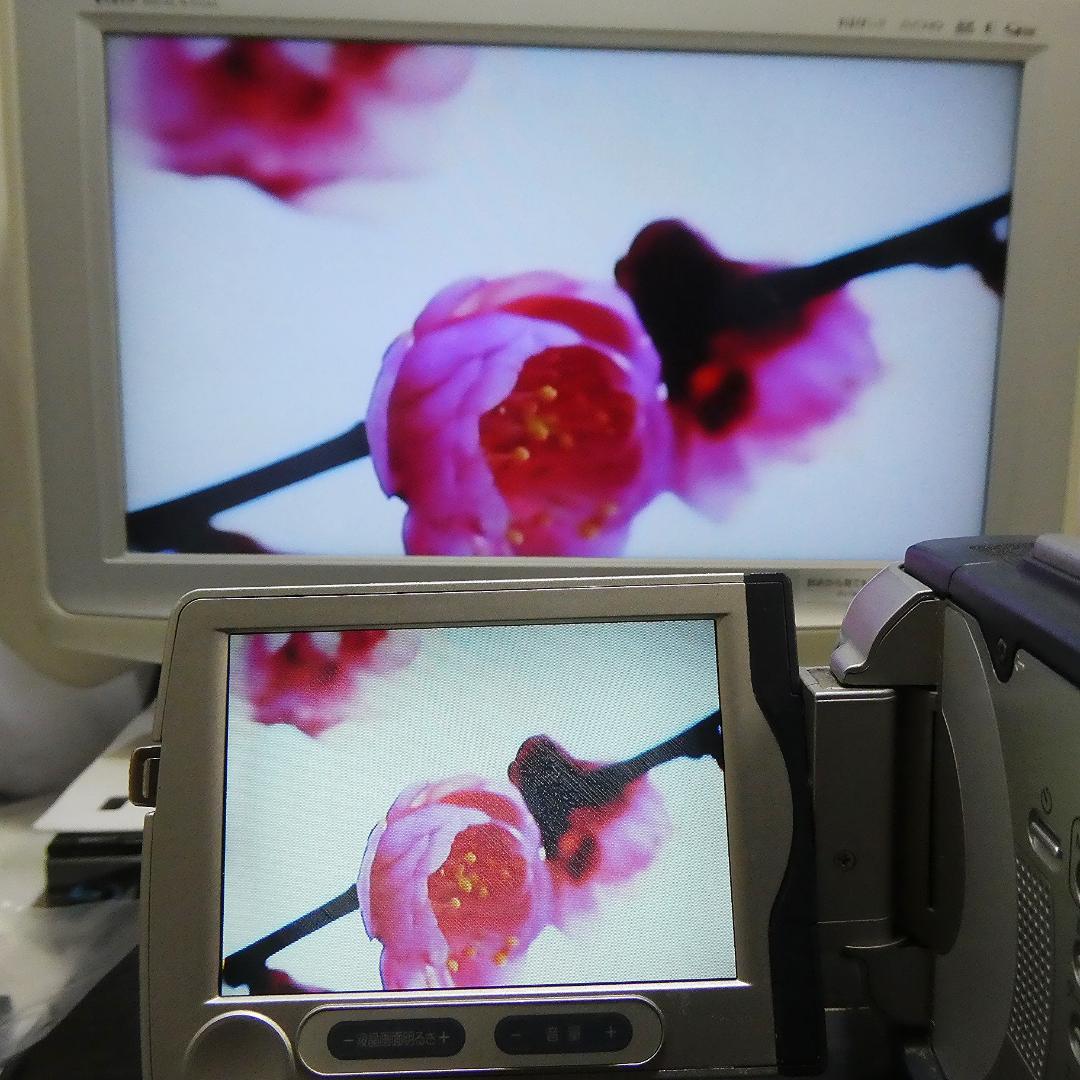 動作品ソニー DCR-TRV30 MiniDVビデオカメラ　DVDダビングに最適