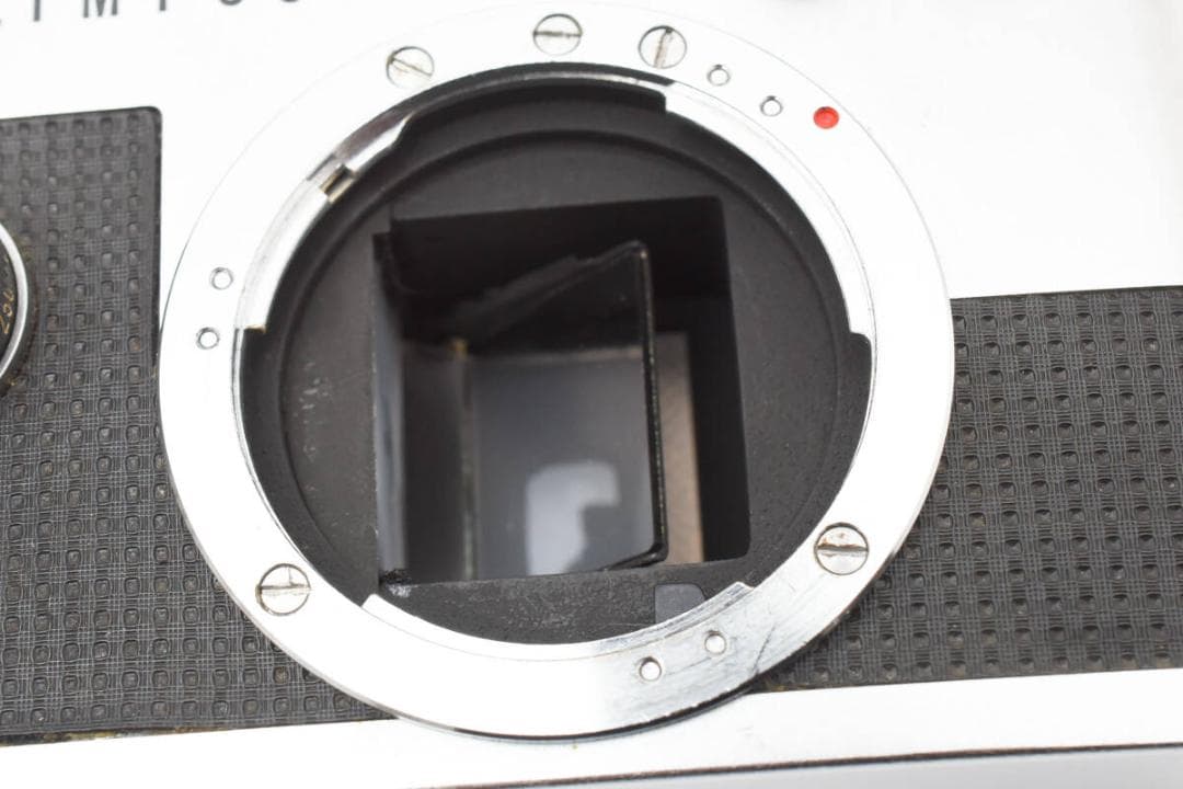 ★極美品★オリンパス OLYMPUS PEN FT ボディ #811