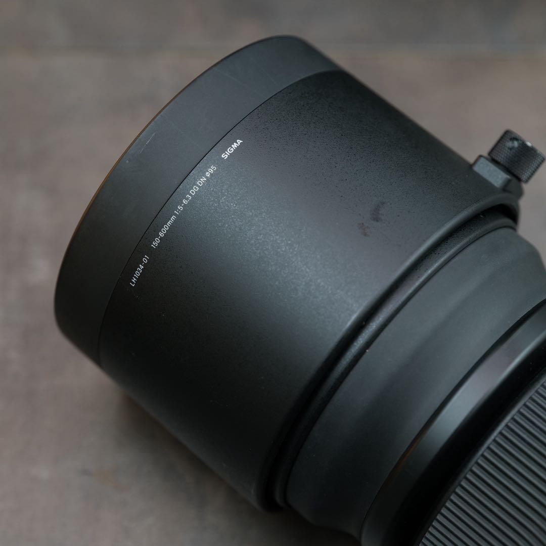 SIGMA 150-600mm f5-6.3 DG DN OS Lマウント用