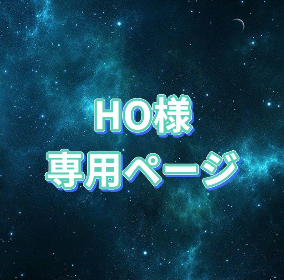 HO様 お見積もりページ