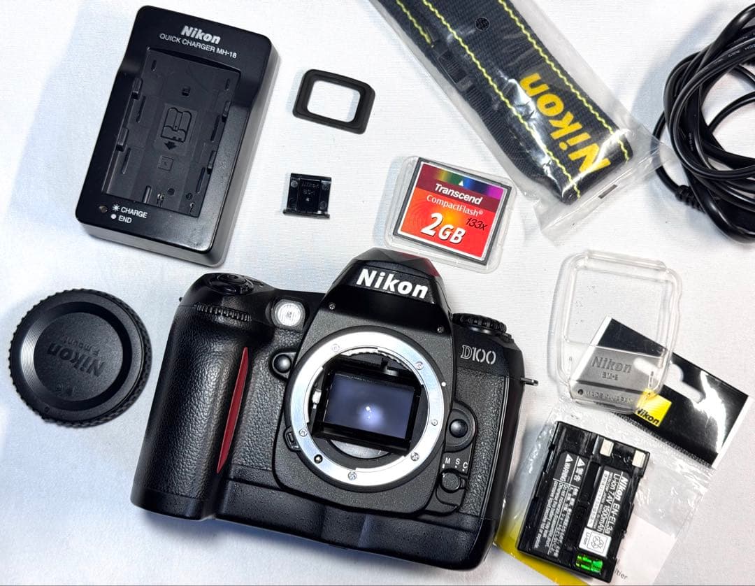 ニコン Nikon D100 美品 純正付属品多数 BM-2含む