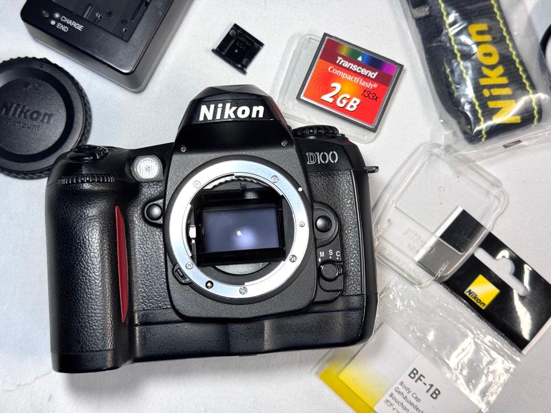 ニコン Nikon D100 美品 純正付属品多数 BM-2含む