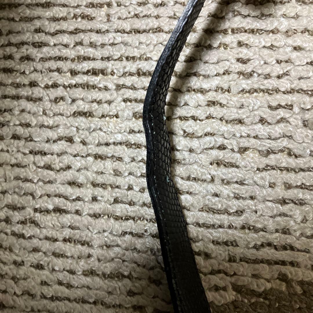 小物 BISOWN LIZARD OVAL BELT