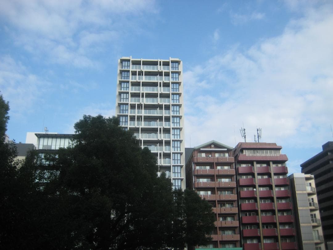 【スマホ転送OK】キャノン Canon IXY DIGITAL 10 デジカメ