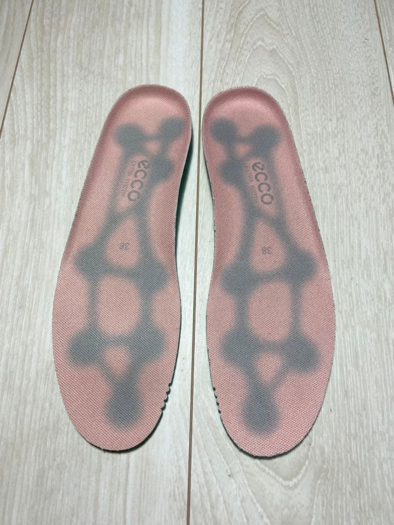 JAPAN Boo ECCO GOLF CAGE ケージ ゴルフシューズ