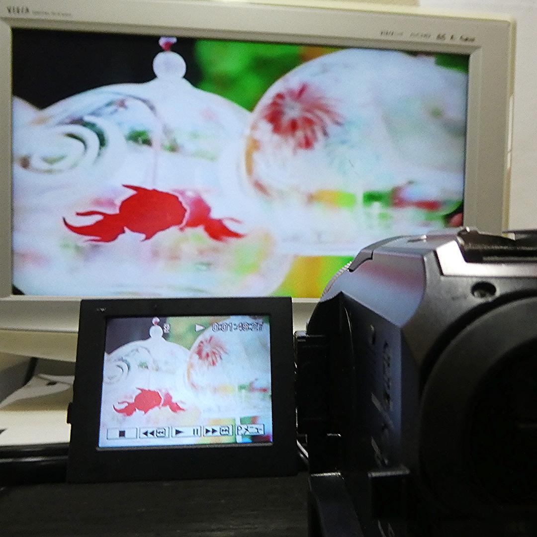 動作品 ソニーDCR-PC300 MiniDV ビデオカメラ DVDダビングに