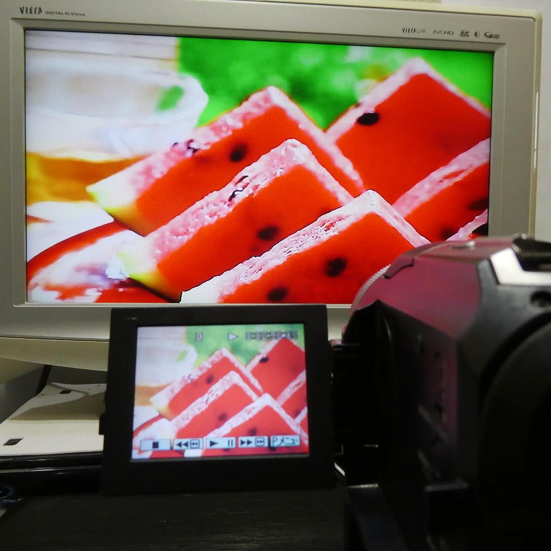 動作品 ソニーDCR-PC300 MiniDV ビデオカメラ DVDダビングに