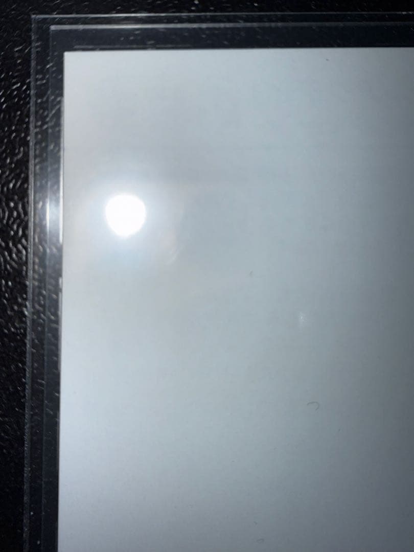 【美品】　遊戯王　光の創造神ホルアクティ　応募券