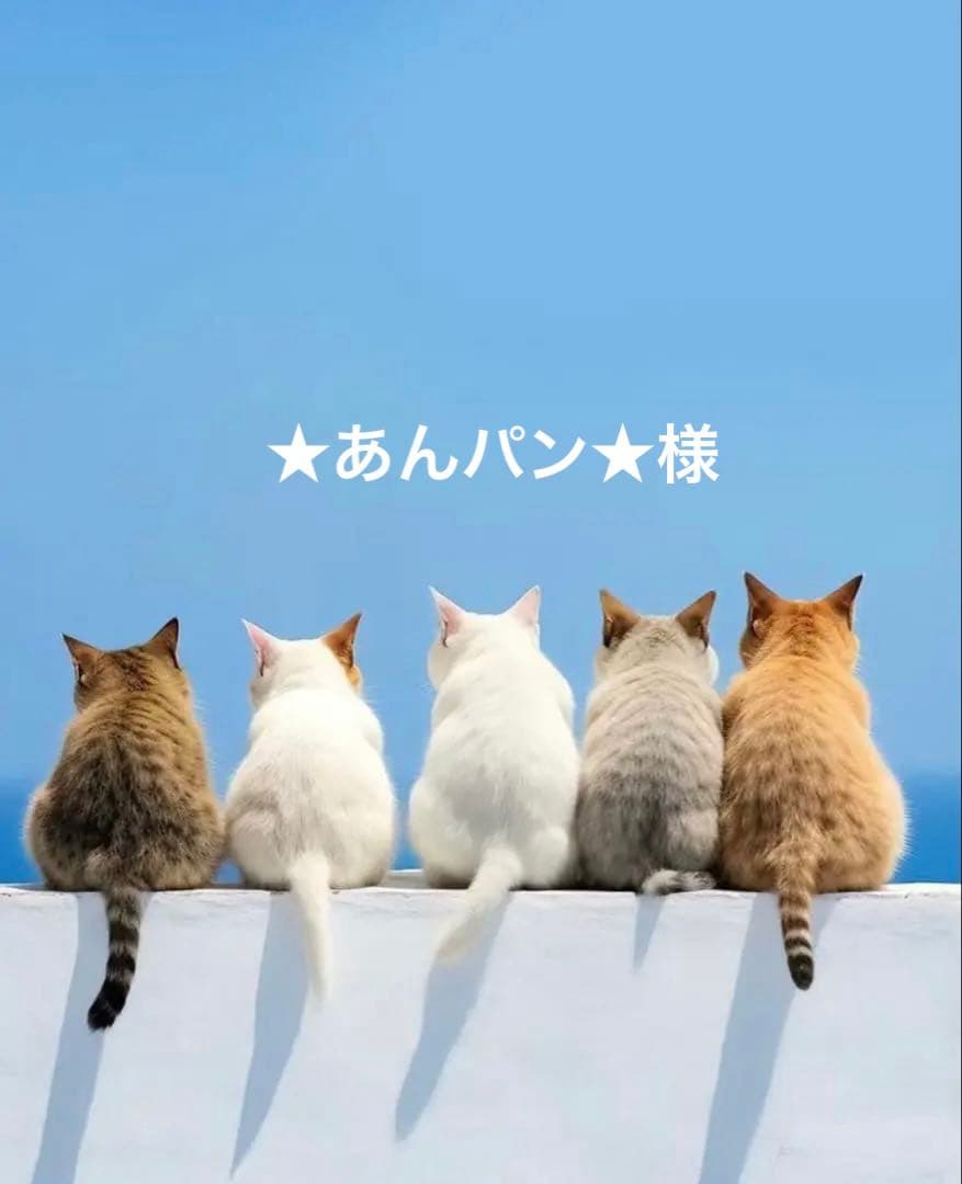 ★あんパン様★ジョリーフルール·͜·ᰔᩚテイラー2点‼️