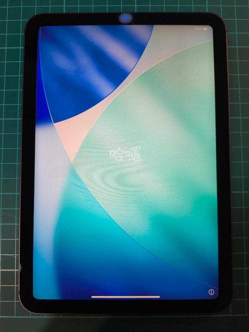 Apple iPad mini (第6世代) 64GB SIMフリー