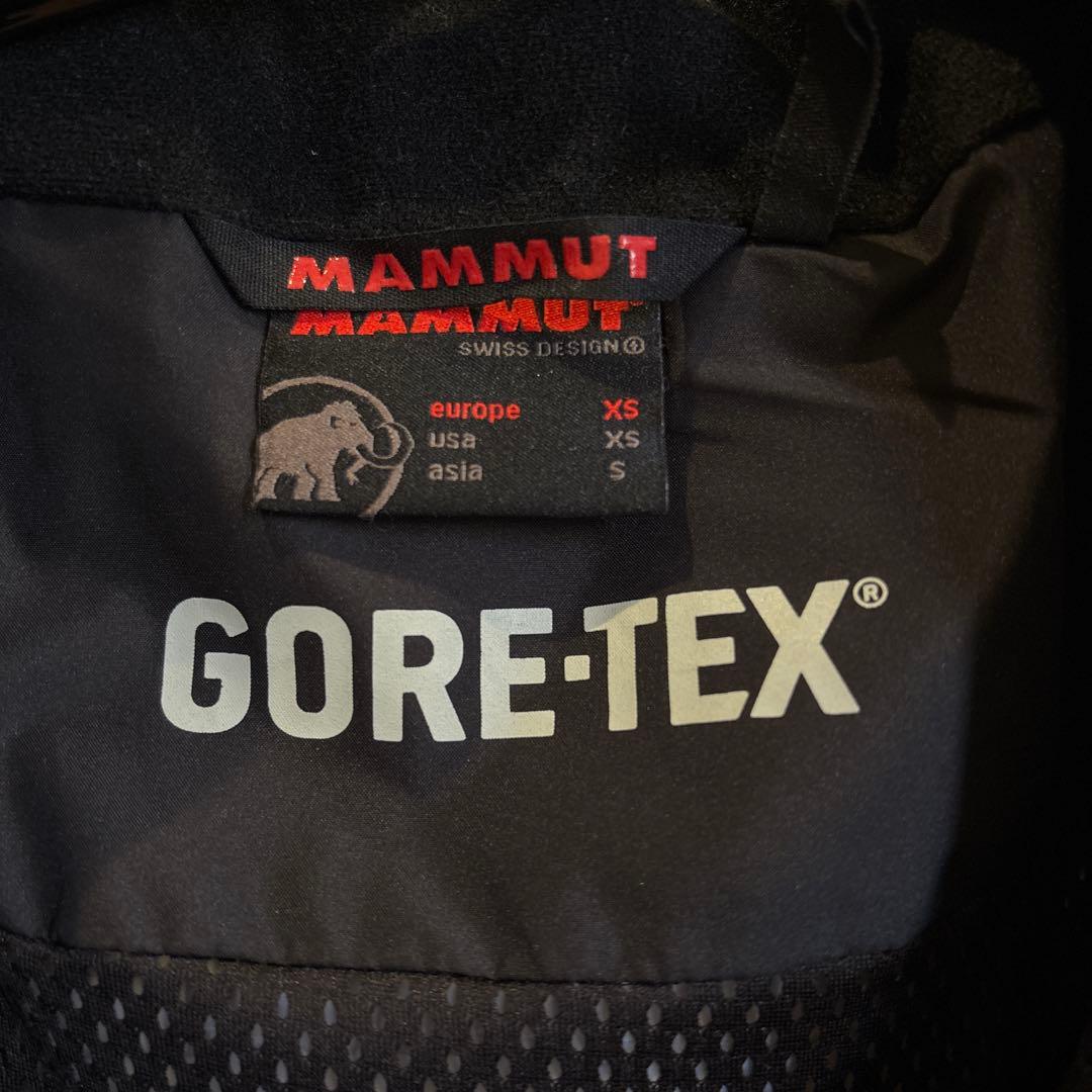 【極美品】MAMMUT GORE-TEX ICE FIELD Ⅱ Jacket