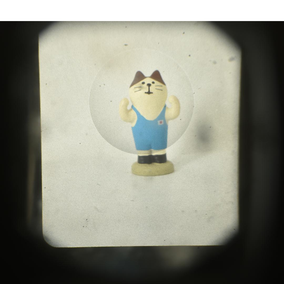 整備済 完動 OLYMPUS PEN F 38mm F2.8 花文字CAP付