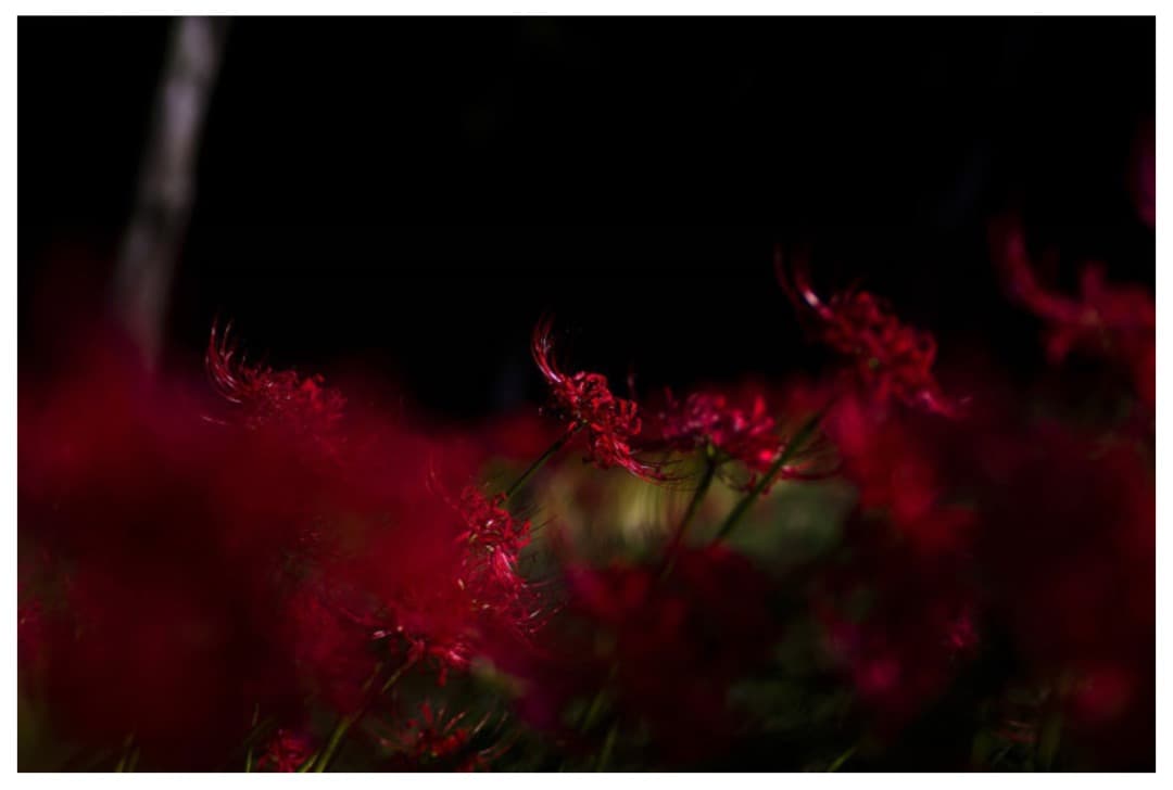 SIGMA 18-300mm F3.5-6.3 DC MACRO PENTAX用