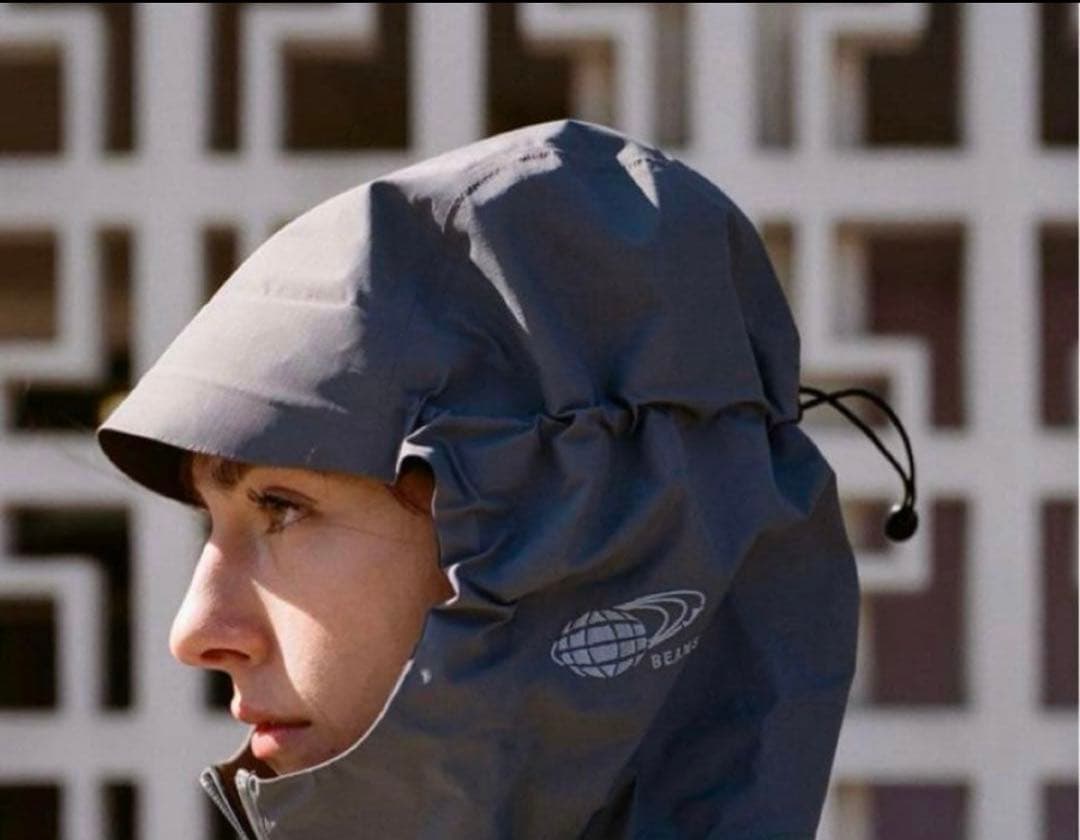 廃盤美品Arcteryx BEAMS 別注モデルベータ SL 希少カラー　グレー