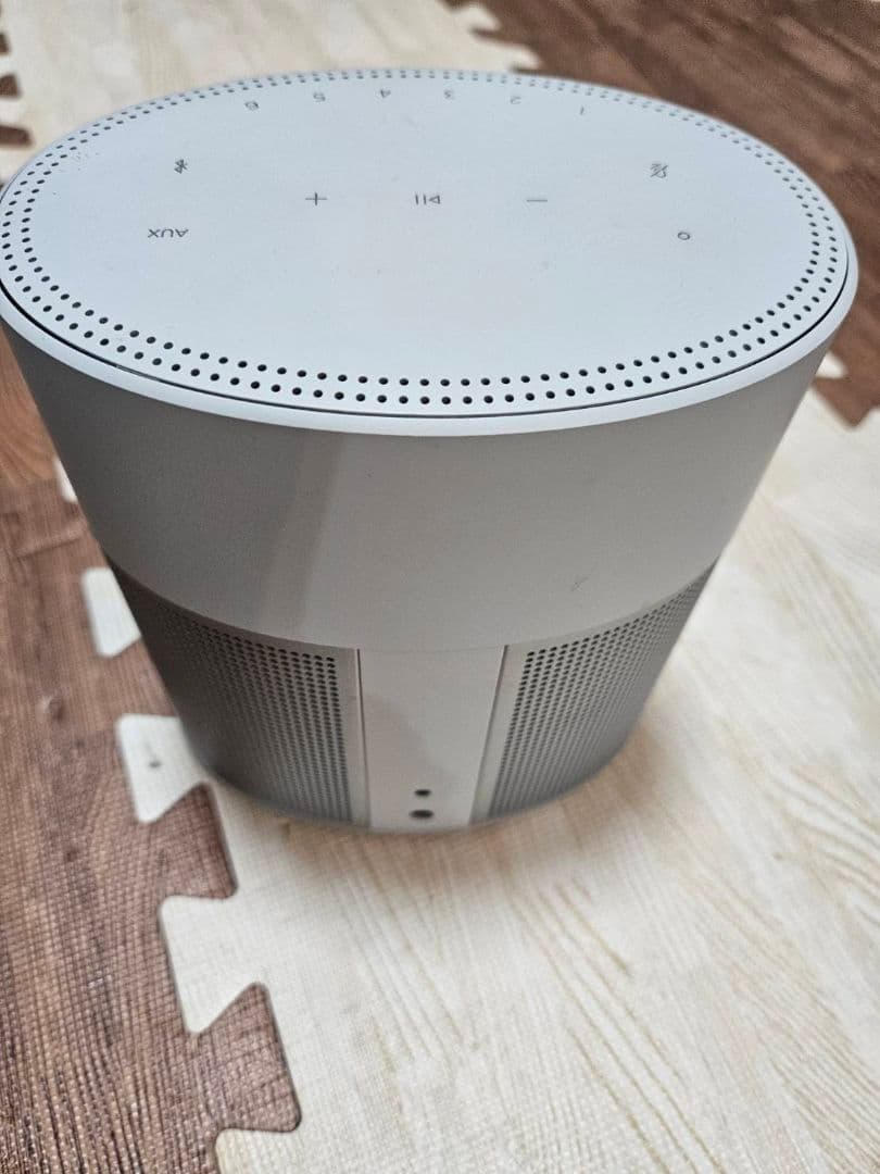 Bose  Speaker 300 ホワイト