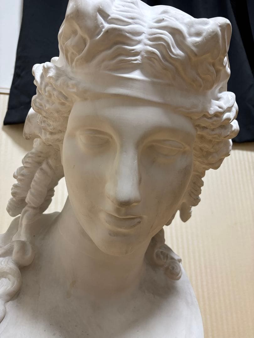 石膏像 アリアス